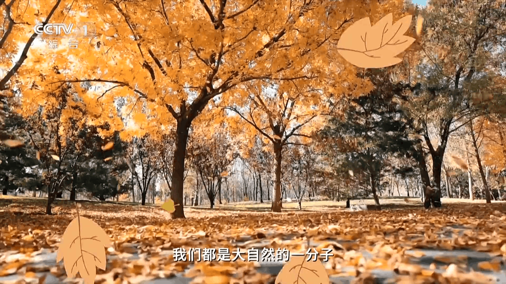 ����ͨtv���Ӻ���app1.0.0��Ѱ��ͼ3