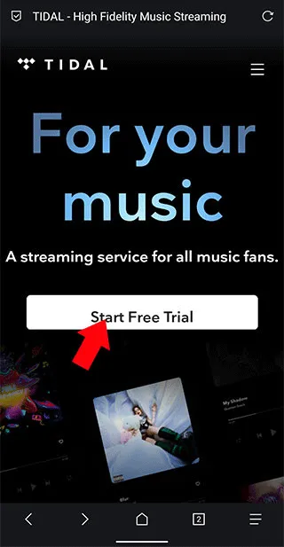 tidal�������İ�
