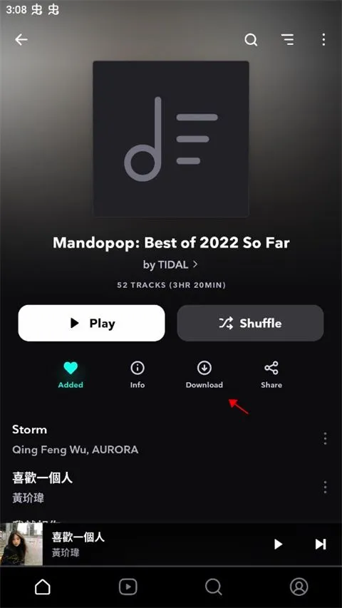 tidal�������İ�