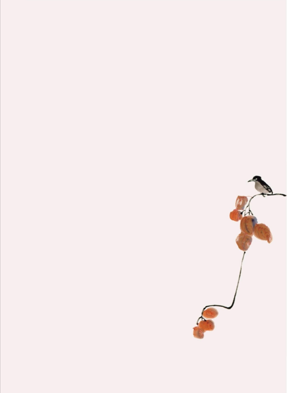 ����������˵��
