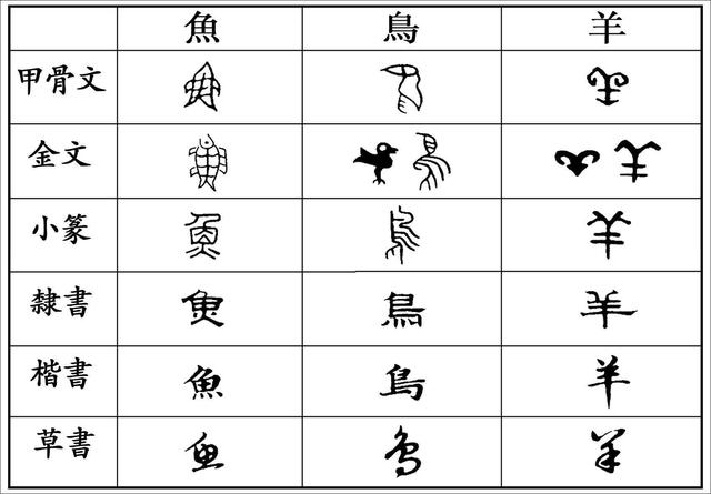 飞字甲骨文金文小篆演变对比图