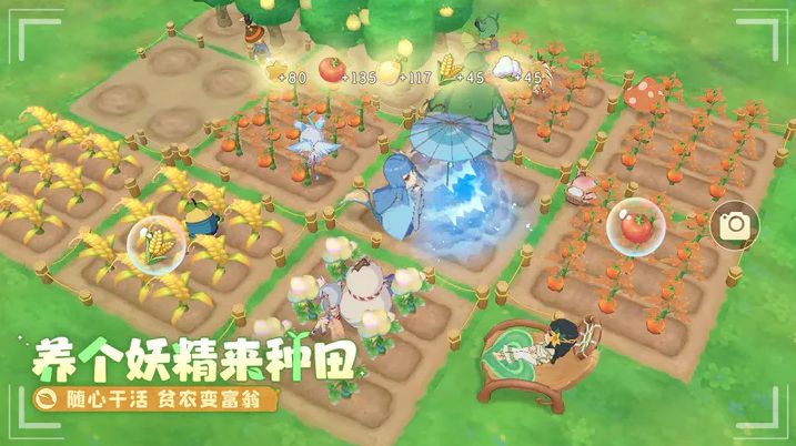 织梦森林商会任务攻略图