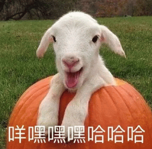 小羊嗑瓜子表情包图片