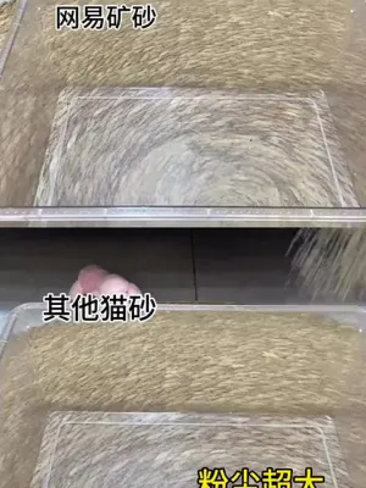 猫砂影视纯净版2026新版主界面截图
