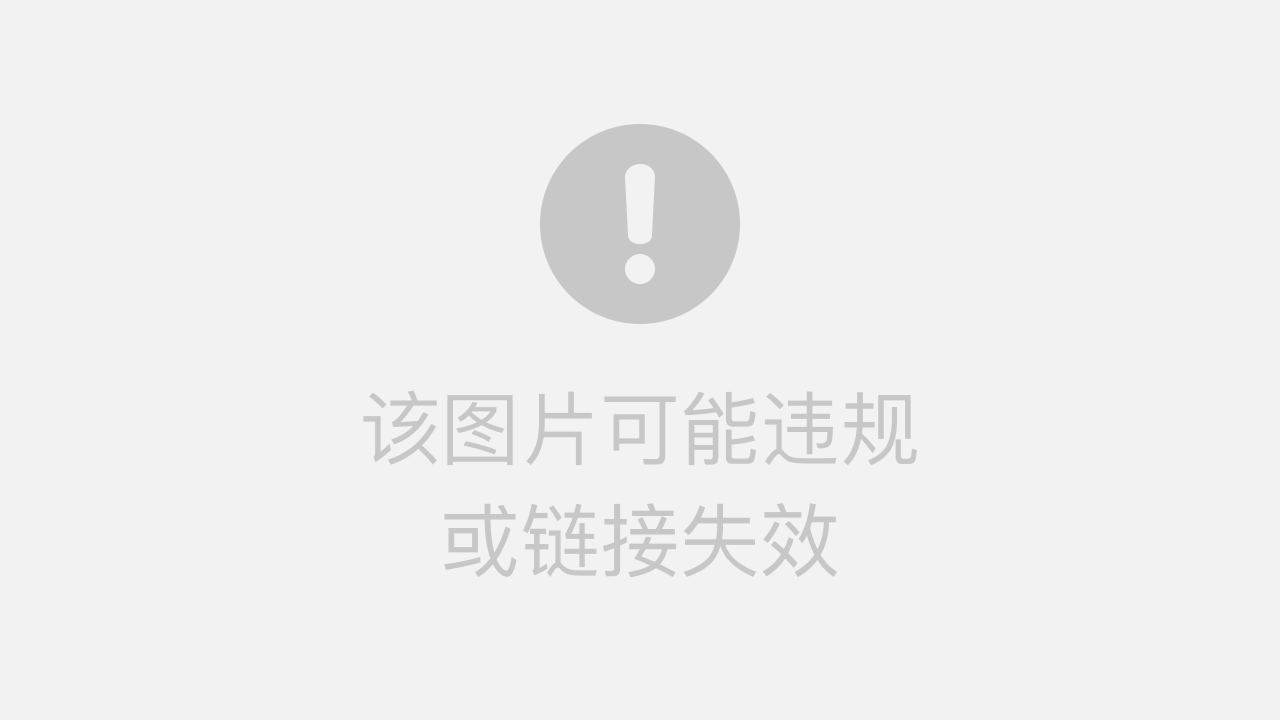 WDownloader视频下载器解析视频链接过程截图,显示正在获取视频源