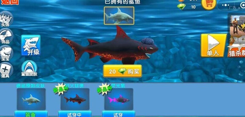 饥饿鲨进化快速升级技巧隐藏鲨鱼获取攻略