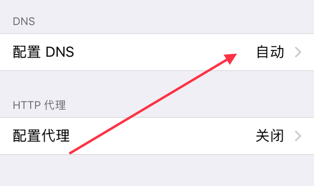 ƻ��Ӧ���̵� DNS ���� 2026 ��ͼ